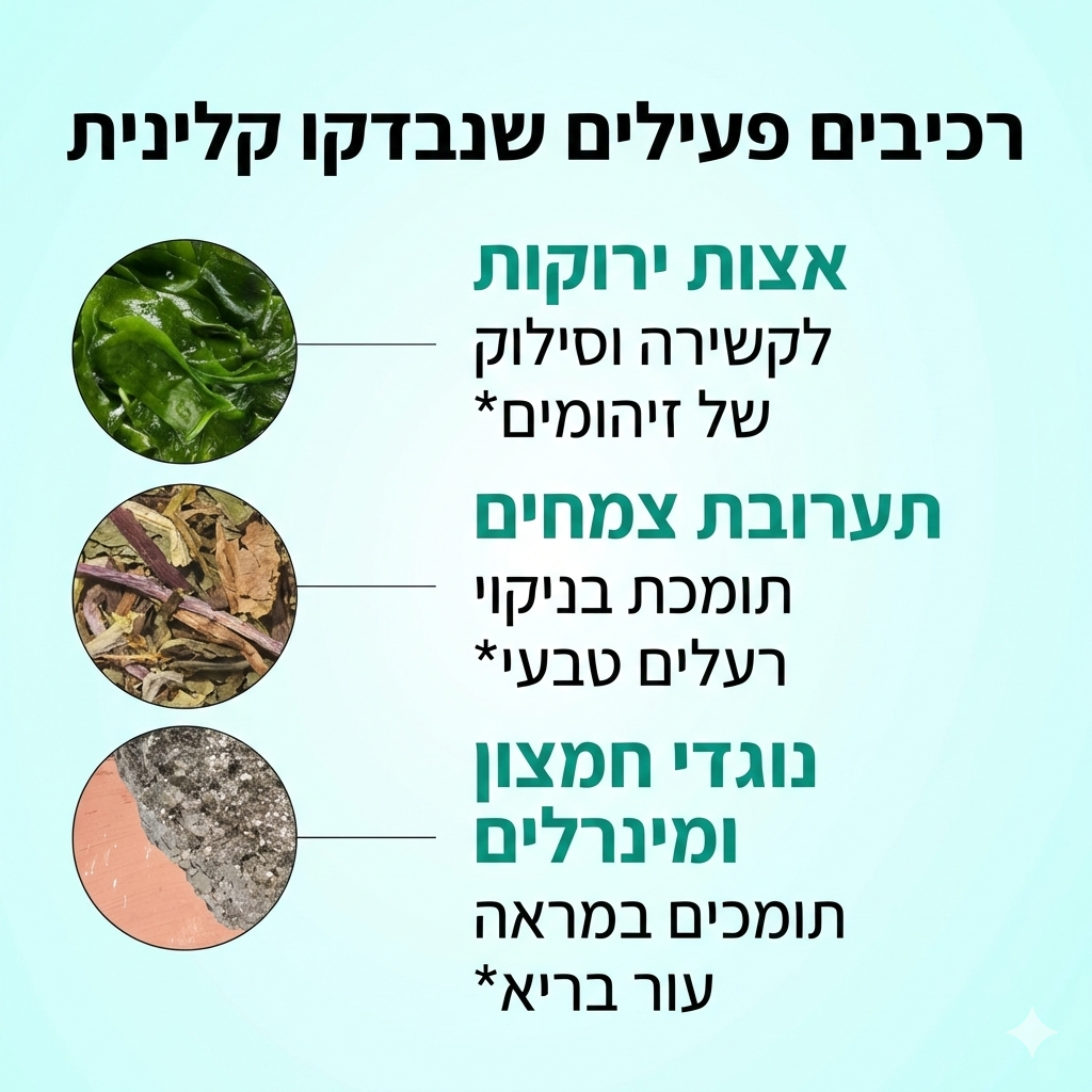 Acneclear - פתרון מתקדם לבעיות אקנה
